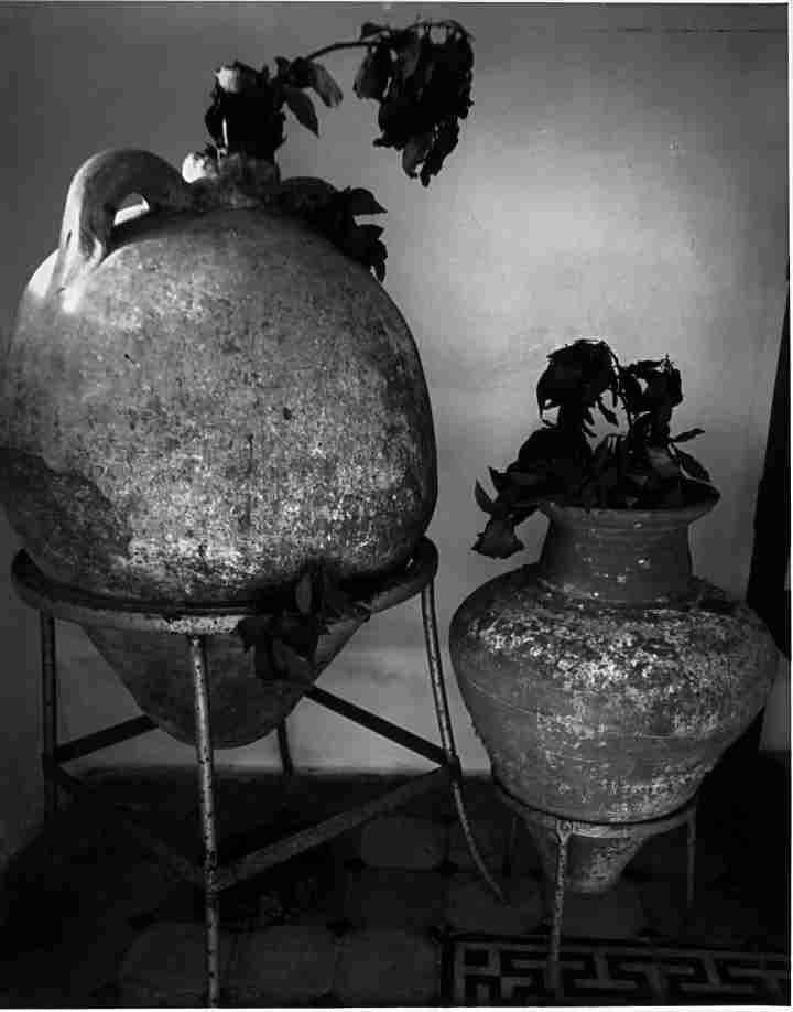 [INLINE:ANCIENTWINEAMPHORA]